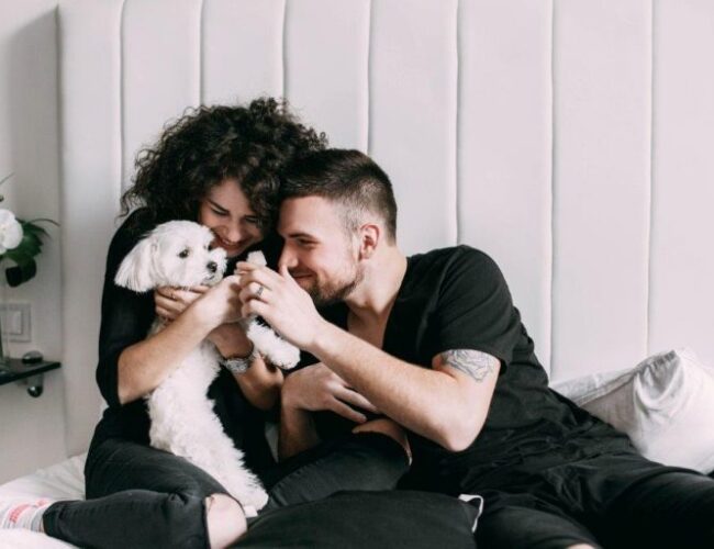 amor animais de estimação instituto novva