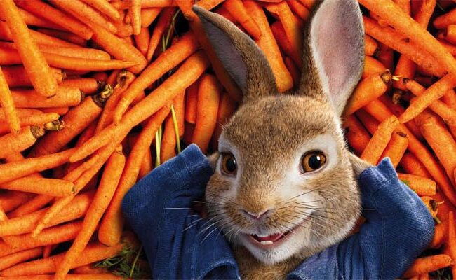 na páscoa assista pedro coelho instituto novva