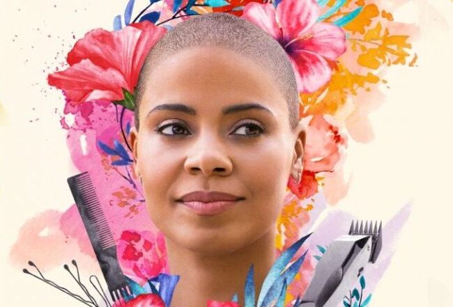 Dica Netflix: Felicidade por um fio instituto novva